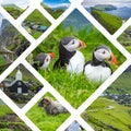 Collage of popular tourist destinations in Faroes Islands.  Travel background. Faroe Islands. Denmark. Europe Royalty Free Stock Photo