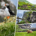 Collage of popular tourist destinations in Faroes Islands.  Travel background. Faroe Islands. Denmark. Europe Royalty Free Stock Photo