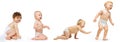 Collage of portraits of four babies in diaper, crawling, walking isolated over white studio background Royalty Free Stock Photo