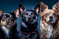 collage from portraits of three cute dogs. generative AI Royalty Free Stock Photo