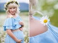 Collage-Pregnant woman in a field of blooming white daisies Royalty Free Stock Photo