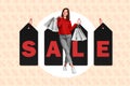 Collage promo poster placard advertisement young fashionista shopaholic lady hold bargains brand label sale isolated on