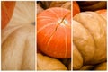 Collage of Pumpkin close-up. Thanksgiving Day, Halloween festive decoration and concept. Autumn, fall background Royalty Free Stock Photo