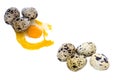 Collage of Quail Eggs isolated on white Background