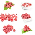 Collage of raspberries with leaves isolated on white Royalty Free Stock Photo