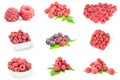 Collage of raspberries with leaves on a white background Royalty Free Stock Photo