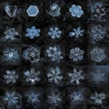 Collage with 25 real snowflake macro photos
