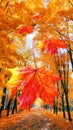 Red maple leaves on blurred background of alley of golden maple trees in the autumn