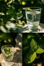 Collage of refreshing drinks with mint. Glass of sparkling water and glass with mint sprig on a stone surface in a sunny garden Royalty Free Stock Photo
