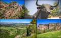 Collage of Ronda, Spain at Puente Nuevo Bridge.