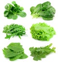 Collage from salad Royalty Free Stock Photo