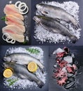 Collage of sea product. Royalty Free Stock Photo