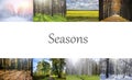 Collage seasons . All season. Seasons in one photo. Winter spring summer autumn. Tree branch. Grass with dew. Nature Royalty Free Stock Photo