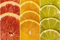 Collage from a set of citrus fresh fruits. Top view Royalty Free Stock Photo