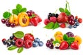 Collage set Fresh berries and fruits in still life with green on Royalty Free Stock Photo