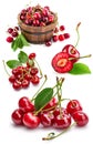 Collage set fresh cherry berries with green leaf isolated on Royalty Free Stock Photo