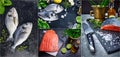 Collage set Fresh fish dorado top view Spicy herb and vegetables Royalty Free Stock Photo