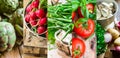 Collage set fresh organic vegetables herbs. Ripe tomatoes, radish, green beans, artichokes, mushrooms, potatoes, parsley, garlic. Royalty Free Stock Photo