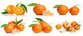 Collage set fresh tangerine fruits with cut and green leaves Royalty Free Stock Photo