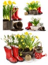 Collage set Spring flowers in pot with red rubber boots and life