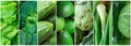 Photos with variety of green organic vegetables leafy greens in arranged on banner collage set