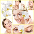 Collage of several photos for healthcare and beauty industry Royalty Free Stock Photo