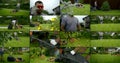 Collage shooting of a man who is at the dacha, wearing glasses, he mows the green lawn with a lawn mower, which then Royalty Free Stock Photo