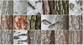 A collage showcasing various tree bark Royalty Free Stock Photo