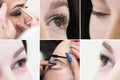 Collage showing the eyelash coloring in beauty salon. Beauty concept.