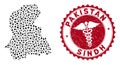 Collage Sindh Province Map with Scratched Serpents Watermark