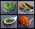Collage of spice on graphic board Royalty Free Stock Photo