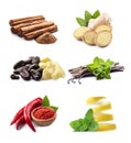 Collage of spice Royalty Free Stock Photo