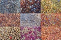 Collage of spices in a middle east market