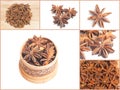 Collage with star anises isolated on white background. Dried star anise spice fruits