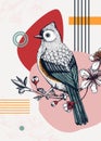 Collage-style bird card. Sketched tufted titmouse trendy poster. Creative designs with bird sketch, botanical illustrations, Royalty Free Stock Photo