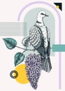 Collage style dove vector illustration. Hand-drawn bird on blooming lilac branches with flowers and leaves. Trendy design with Royalty Free Stock Photo