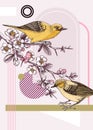 Collage style spring card design. Two yellow warbler on blooming Japanese quince branches vector sketch. Hand drawn songbirds and