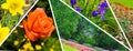 collage of summer gardens, flower gardens and flowers. Wide photo