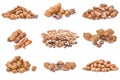 Set of Tamarind on a white background clipping path Royalty Free Stock Photo