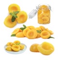 Collage with tasty canned peaches isolated on white Royalty Free Stock Photo