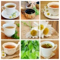 Collage with Tea Royalty Free Stock Photo