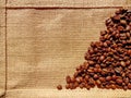 Collage texture - coffee beans on sacking Royalty Free Stock Photo