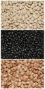Collage of Three Different Types of Dry Beans Royalty Free Stock Photo