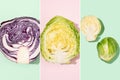 Collage of three types of cabbage: red, early cabbage, brussels sprouts on a pink and green background