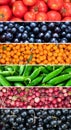 Collage of tomato, peas, lingonberry, black currant and sea buckthorn harvest at autumn. Royalty Free Stock Photo