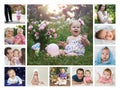 Collage twelve months of the first baby year