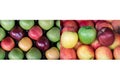 Collage from two photos of four different ripe apples types.