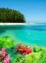Collage of underwater coral reef and with green island on the horizon