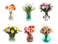 Collage with various beautiful flowers in glass vases on white background Royalty Free Stock Photo