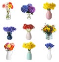 Collage with various beautiful flowers in vases on white background Royalty Free Stock Photo
